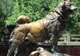 See the Balto and Togo Tributes