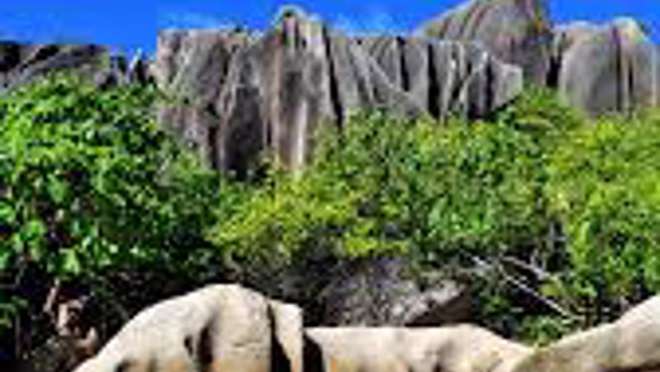 Cousin Island