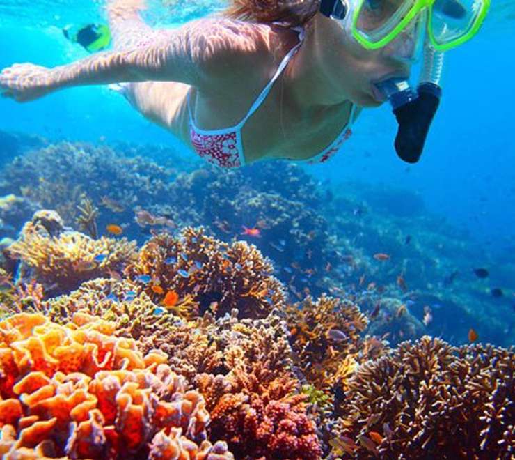 Shore Snorkeling