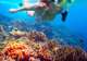 Shore Snorkeling