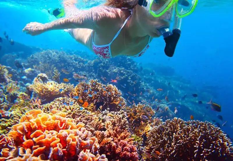 Shore Snorkeling