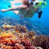 Image related to Shore Snorkeling