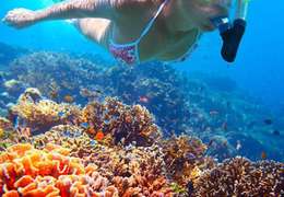 IgluCruise.Application.ViewModels.Shared.WebImageViewModel?.Description