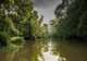 Cruise - Lower Kinabatangan River