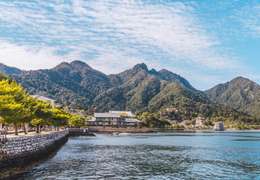 IgluCruise.Application.ViewModels.Shared.WebImageViewModel?.Description