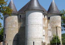 IgluCruise.Application.ViewModels.Shared.WebImageViewModel?.Description