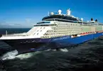 Celebrity Silhouette