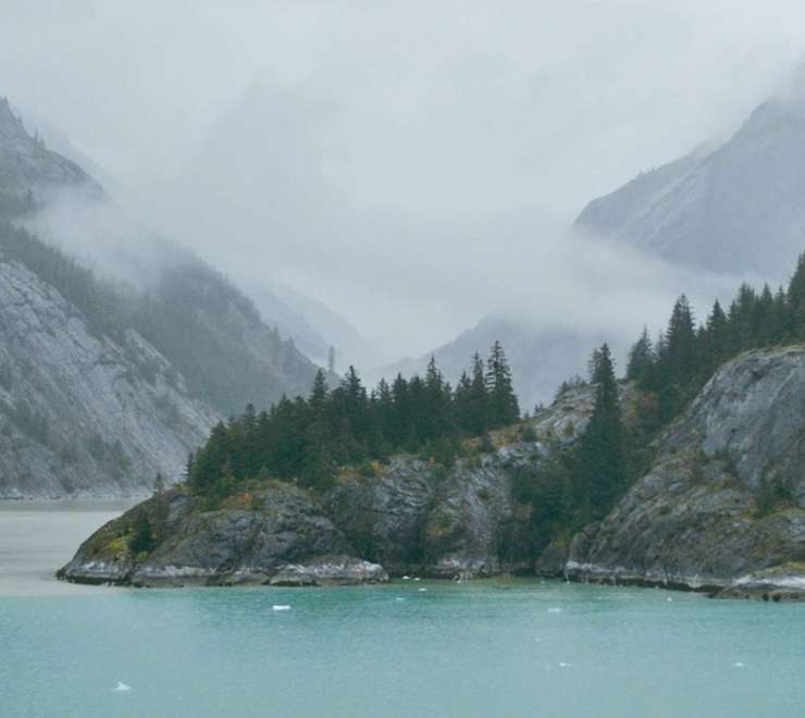 Endicott Arm & Dawes Glacier - Scenic Cruising