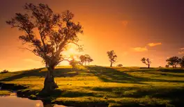 Image related to Adelaide