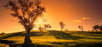 Image related to Adelaide