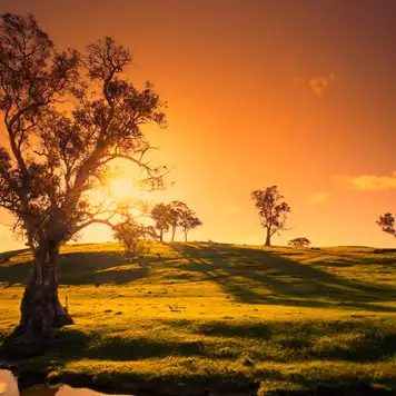 Image related to Adelaide