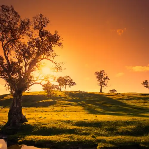 Image related to Adelaide