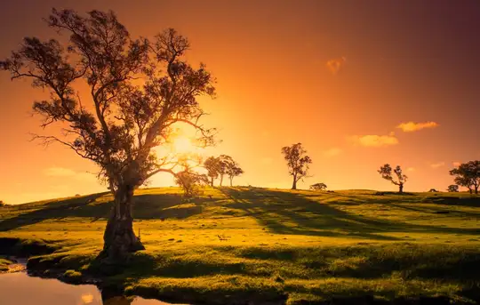 Image related to ADELAIDE (AUSTRALIA)