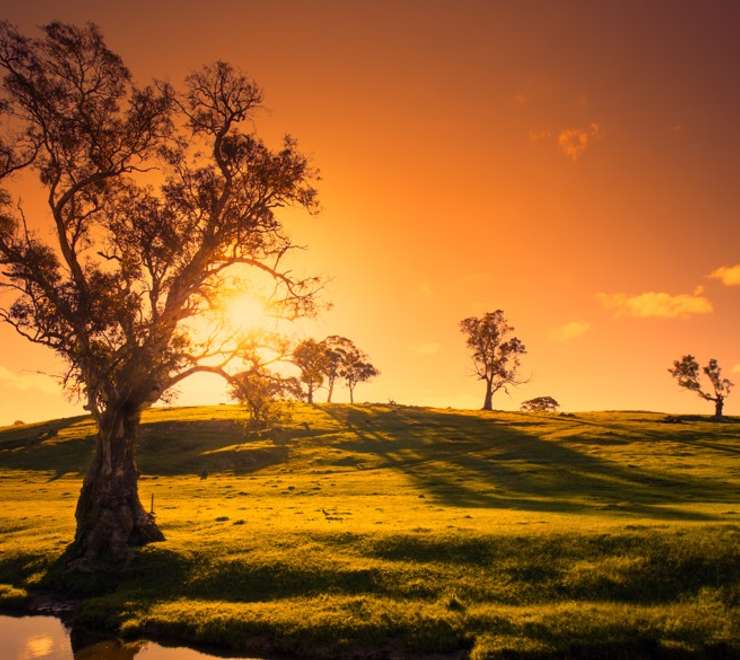 Adelaide