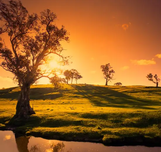 Image related to Adelaide