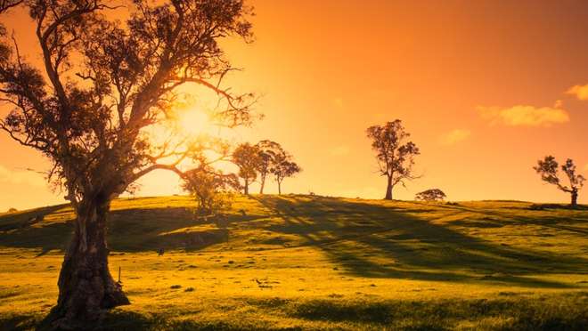 Uncover Adelaide’s Laid-Back Charms