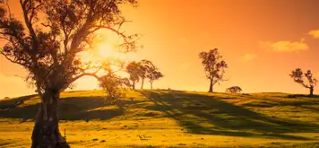 Image related to Adelaide - Overnight onboard