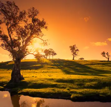 Image related to Adelaide