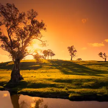 Image related to Adelaide