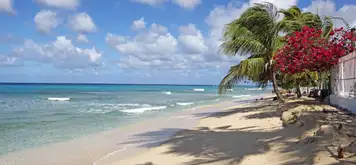 Image related to Mahogany Bay 