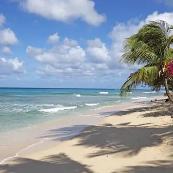 Image related to Mahogany Bay 