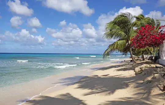 Image related to Mahogany Bay Roatan Honduras