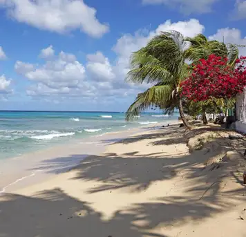 Image related to Mahogany Bay Roatan Honduras