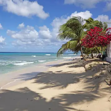 Image related to Mahogany Bay 