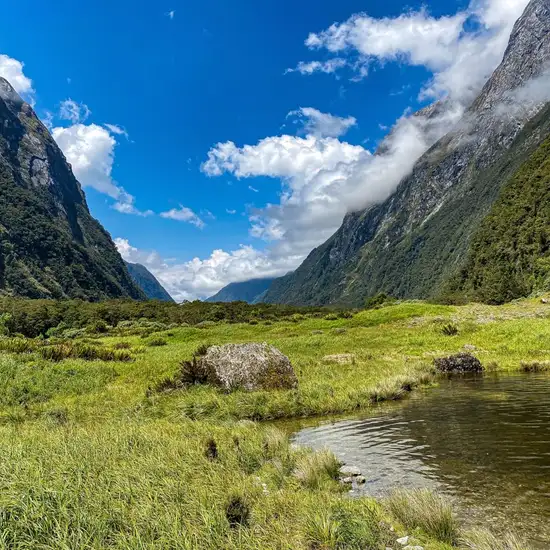 Image related to Milford Track