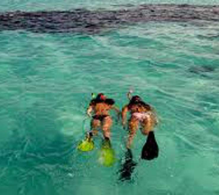 Snorkel the Precipitous Reef Walls