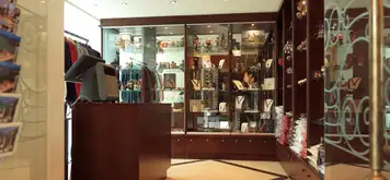 Image related to AmaLyra