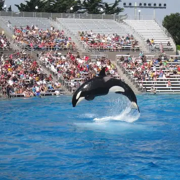 Image related to Marine World