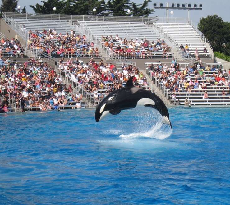 Marine World