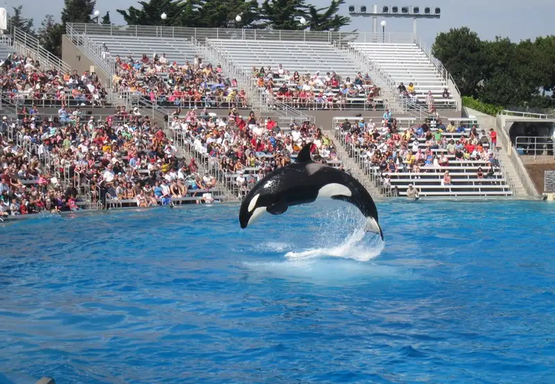 Marine World