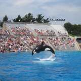 Image related to Marine World
