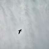Photo of Thing to do