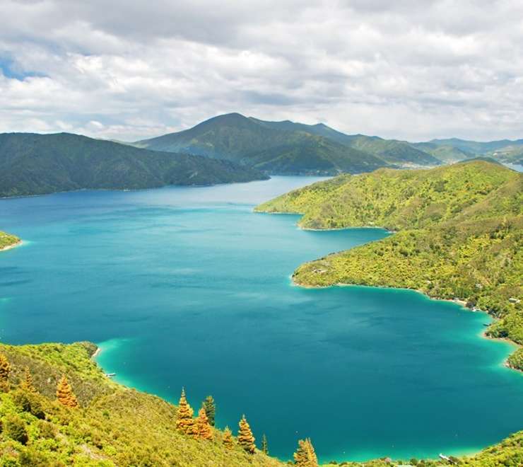 Picton