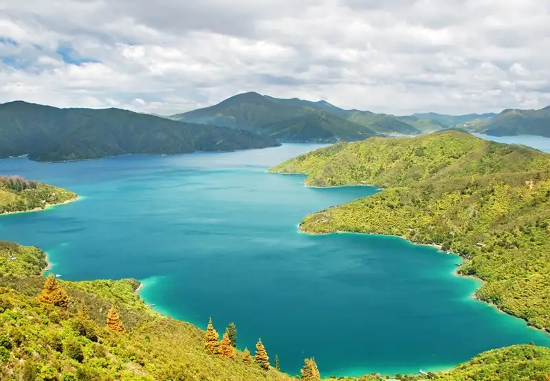 Picton