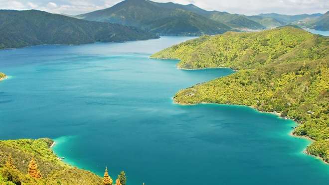 Picton (New Zealand)