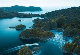 IgluCruise.Application.ViewModels.Shared.WebImageViewModel?.Description