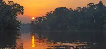 Image related to Manaus