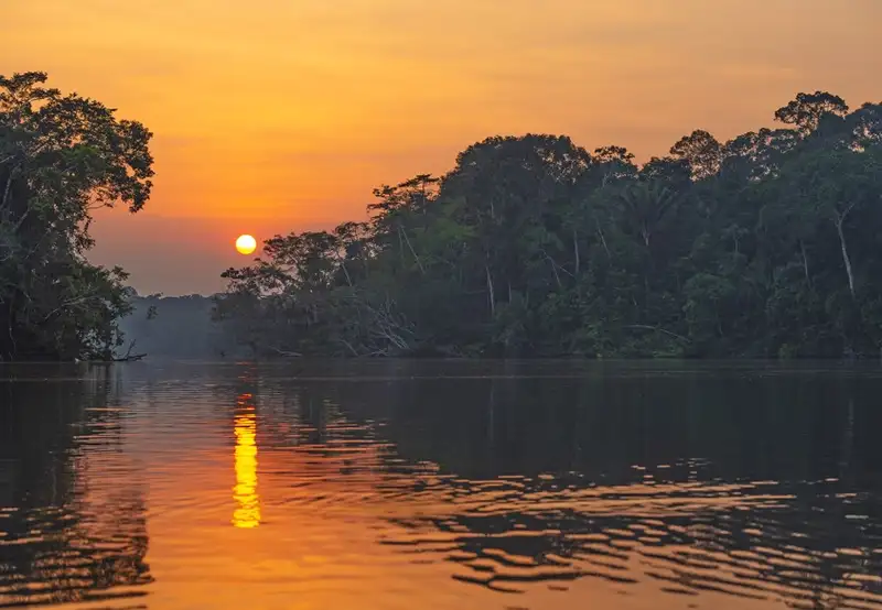 Manaus