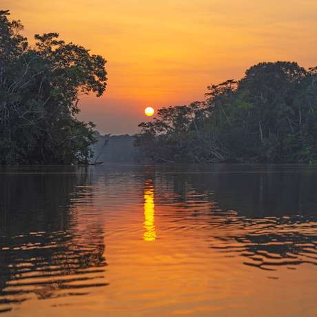 Photo overview of Manaus