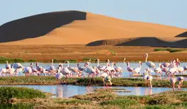Image related to Walvis Bay