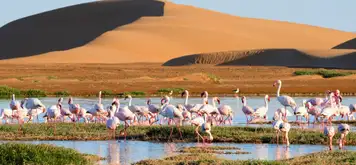 Image related to Walvis Bay