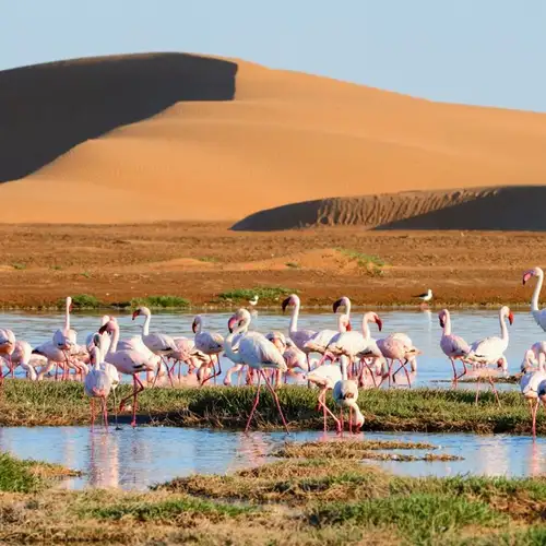 Image related to Walvis Bay