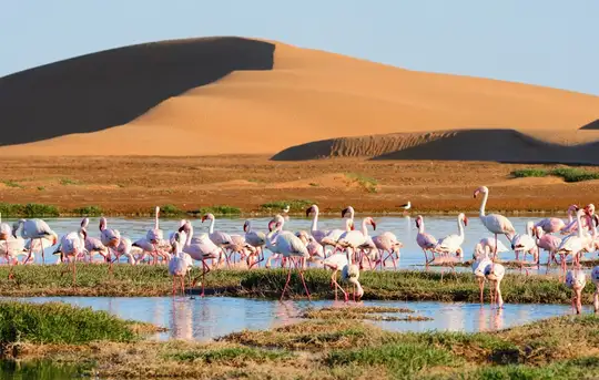 Image related to Walvis Bay