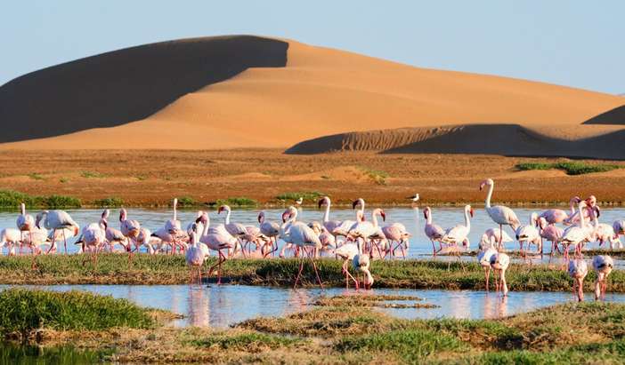 Walvis Bay