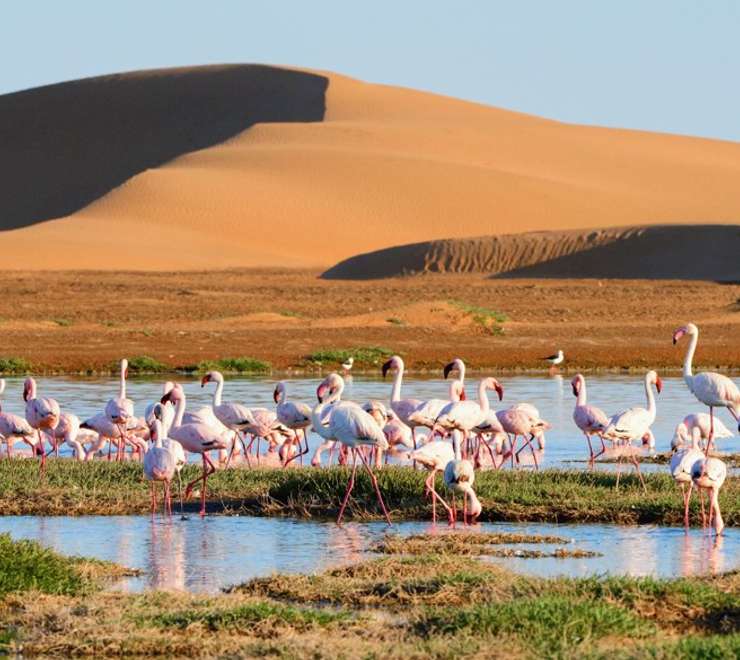 Walvis Bay