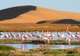 Walvis Bay